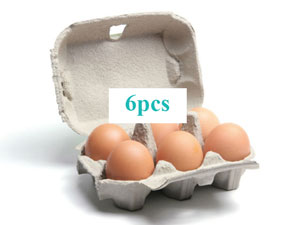 6pcs Egg Carton