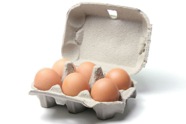 Make Egg Cartons